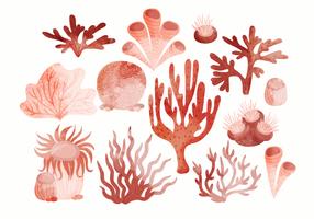 Vector Hand Drawn Set of Corals