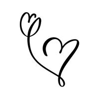 Dibujado a mano dos corazón y tulipán flor amor signo. Vector romántico del ejemplo de la caligrafía del día de San Valentín. Símbolo del icono de Concepn para la camiseta, tarjeta de felicitación, boda del cartel