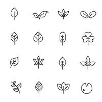 Leaf icon set vector. Nature and symbol concept. Thin line icon theme. White isolated background. Illustration vector. vector