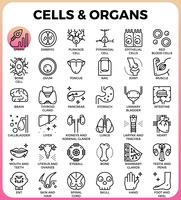 Conjunto de iconos de células y órganos vector