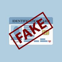 Fake ID vector