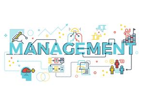 Management word lettering vector