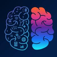 Human Brain Hemispheres Vector