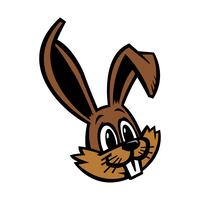 Cartoon bunny rabbit graphic vector