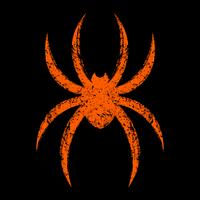 Spider insect bug vector