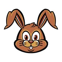 Cartoon bunny rabbit graphic vector