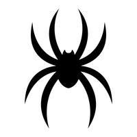 Spider insect bug vector