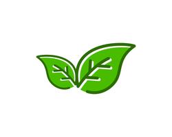 Hoja Natural Logo Icon Vector