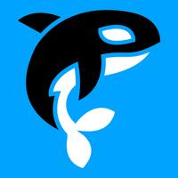 Killer Whale Orca illustration vector