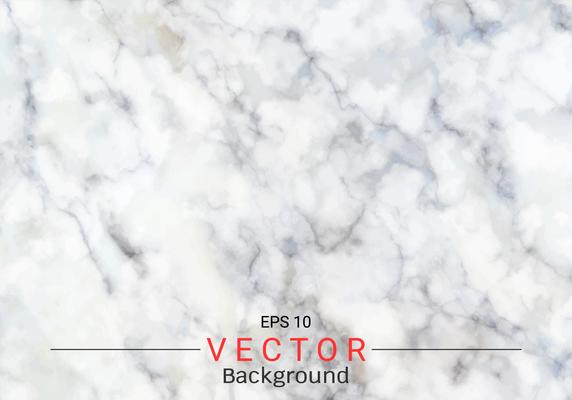 White gray marble texture.