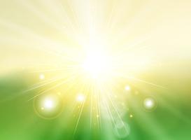 Sky with sunlight rays twilight blurred green gradient abstract background landscape. vector