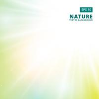 Sparkling sunlight and flares of light from the sides on a green background of nature. vector background 