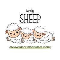 Happy sheep family. Mom dad and baby sheep cartoon. vector