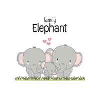 Elephant Family Father Mother and baby. Vector illustration.