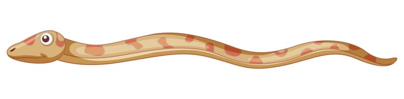 serpiente sobre fondo blanco vector