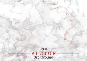 White gray marble texture. vector