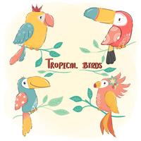 cute drawing flat vector tropical bird set, colorful summer