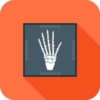 Hand X ray Flat Long Shadow Icon vector