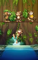 Scene with monkeys and river vector