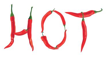 hot chilly pepper over white background with lettering HOT vector