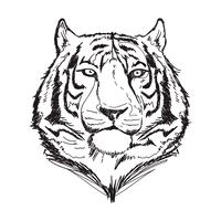 Ilustración de vector de línea tigre arte