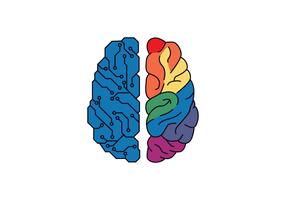 Ilustración de Vector de hemisferios de cerebro humano