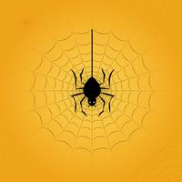 Halloween spider in web