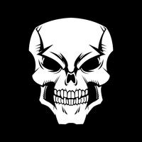 Skull graphic vector