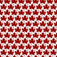 Autumn Maple Leaf vector logo