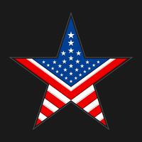 America star vector icon