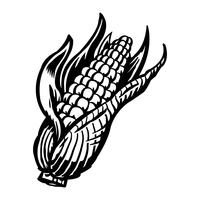 Corn vector