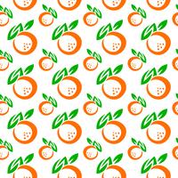 Orange fruit illustration vector