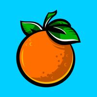 Orange fruit illustration vector