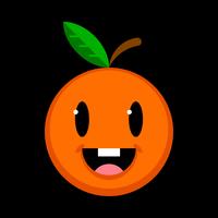Orange fruit illustration vector