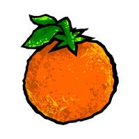 Ilustración de fruta naranja vector