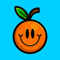 Orange fruit illustration vector