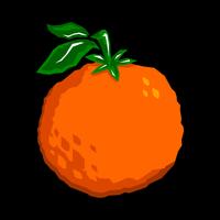 Orange fruit illustration vector