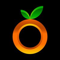 Orange fruit illustration vector
