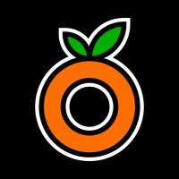 Orange fruit illustration vector