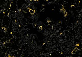 Abstract dark gold background. vector