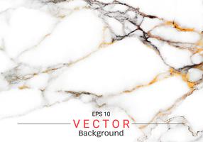 Abstract white marble texture, Vector pattern used to create surface effect for your design product.