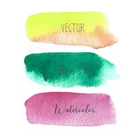 Set of colorful brush strokes watercolor on white baclground, Vector illustration.