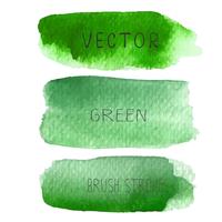 Set of green brush strokes watercolor on white baclground, Vector illustration.