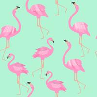 Flamingo seamless pattern on mint green background. vector