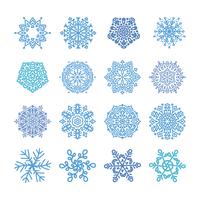 Various winter snowflakes vector