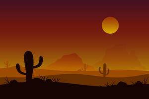 Sunset desert vector with sun cactus background.