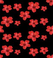 Red Hibiscus flowers,floral seamless pattern.vector Illustration on black background.