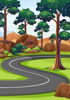 Curve road in the woods vector