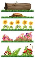 Set of nature decoration vector