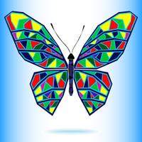 Butterfly7